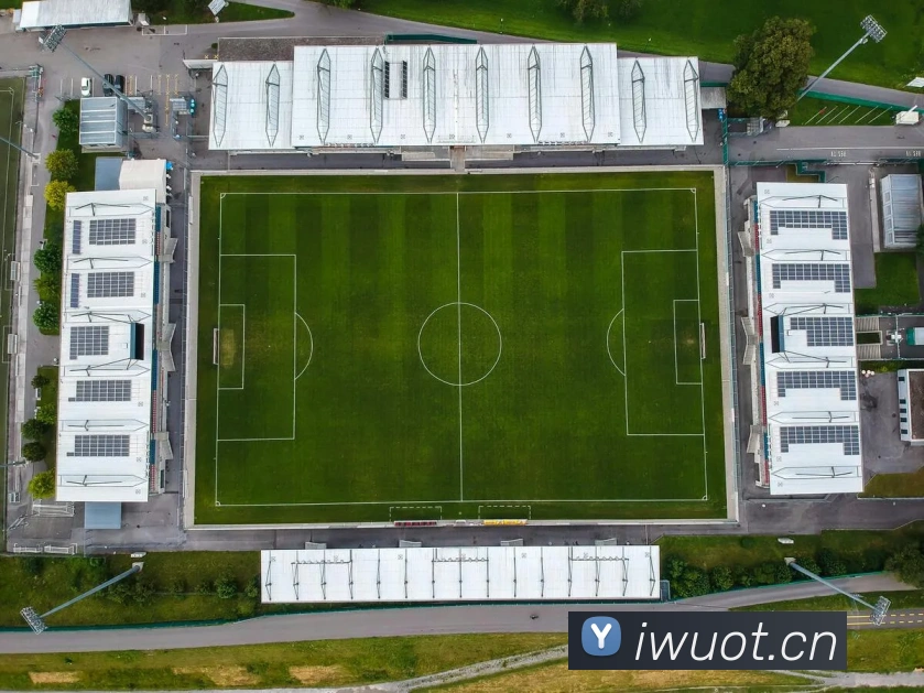 云开体育app官方下载平台生态图